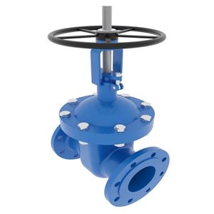 GLOBE VALVE